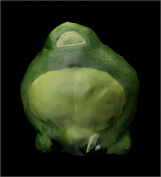 I got rid of the tag on the back of the plush. It looks a bit off, but it's okay.